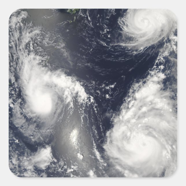 Three different typhoons square sticker (Front)