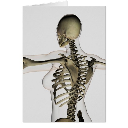 Three Dimensional View Of Female Upper Back Cards (Front)