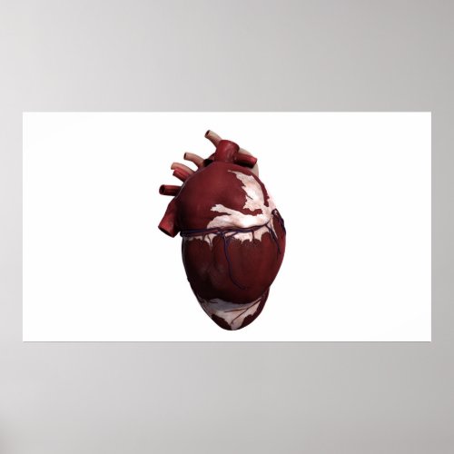 Three Dimensional View Of Human Heart Left Side Poster