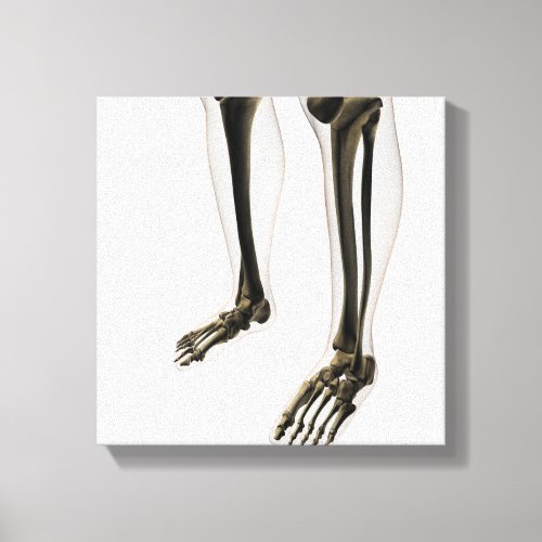 Three Dimensional View Of Human Leg And Feet Canvas Print