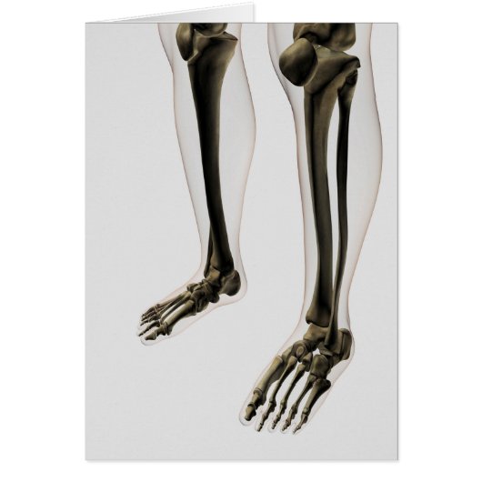 Three Dimensional View Of Human Leg And Feet Cards (Front)