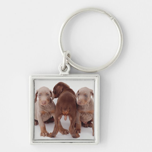 Three Doberman pinscher puppies Keychain (Front)