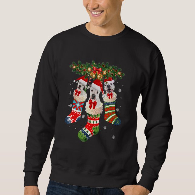 Three Dogo Argentino In Sock Christmas Santa X Mas Sweatshirt (Front)