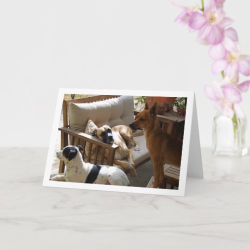 Three Dogs Chilling Portrait Card