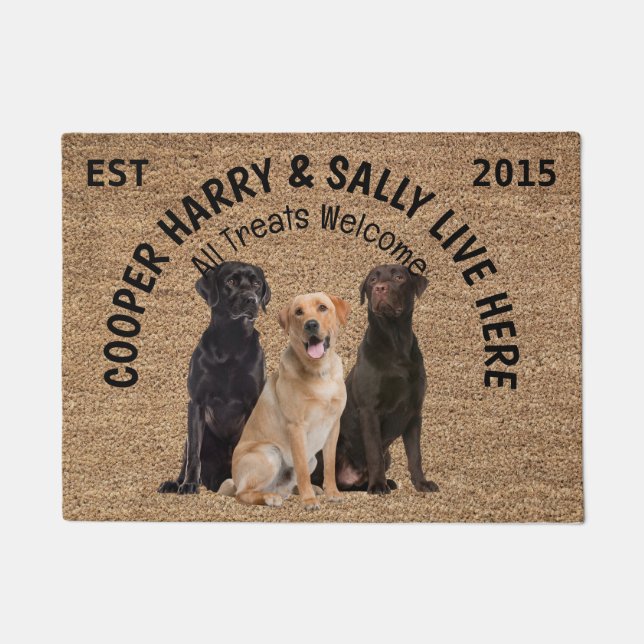 Three Dogs Personalized Dog Lover Doormat (Front)
