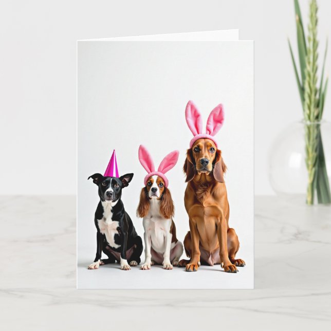 Three Dogs Pink Hats Portrait Card (Front)