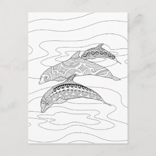 Three Dolphins Adult Coloring Postcard