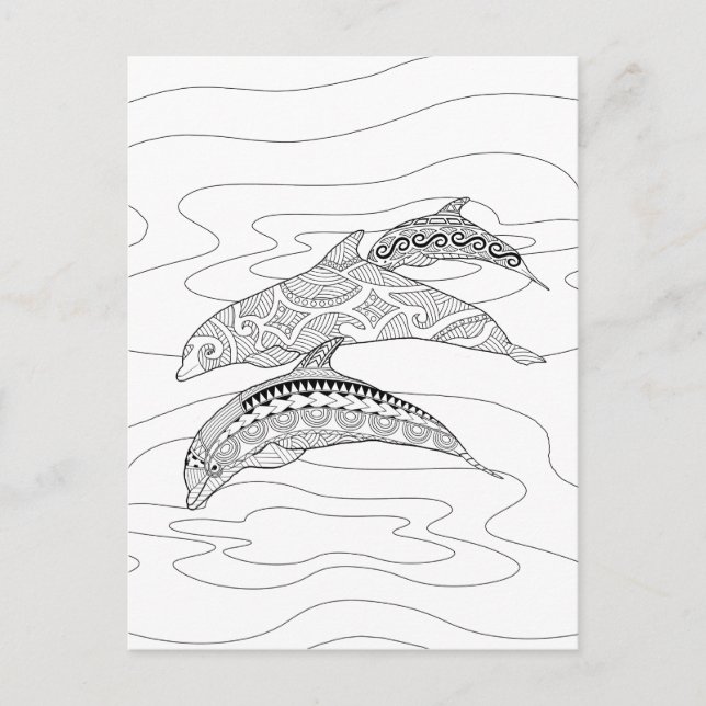 Three Dolphins Adult Coloring Postcard (Front)