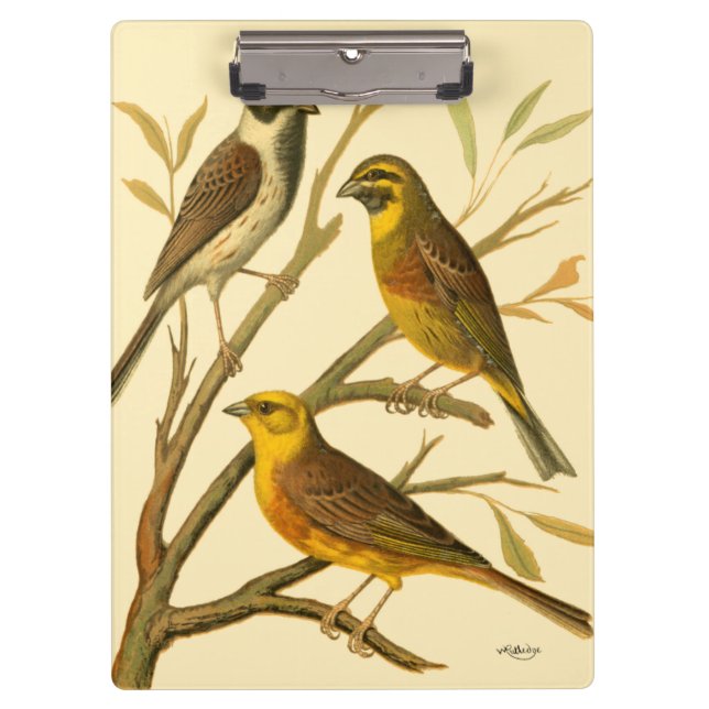 Three Domestic Birds Perched on a Branch Clipboard (Front)