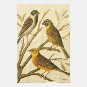 Three Domestic Birds Perched on a Branch Kitchen Towel