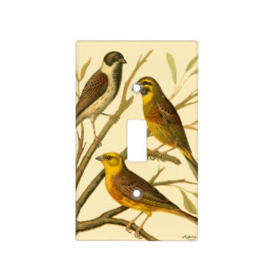 Three Domestic Birds Perched on a Branch Light Switch Cover