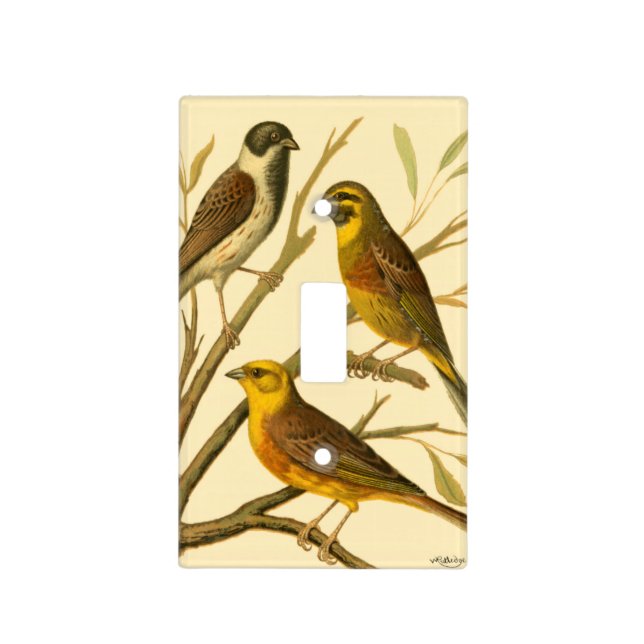 Three Domestic Birds Perched on a Branch Light Switch Cover (Front)