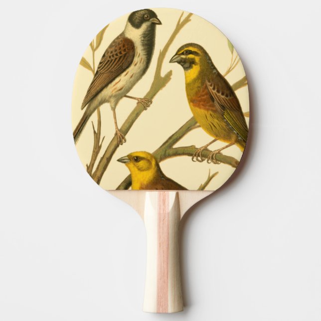 Three Domestic Birds Perched on a Branch Ping-Pong Paddle (Front)