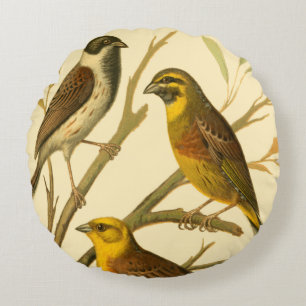 Three Domestic Birds Perched on a Branch Round Pillow