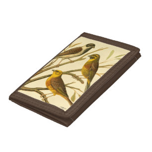 Three Domestic Birds Perched on a Branch Trifold Wallet