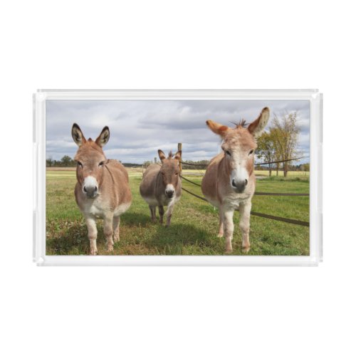 Three Donkeyâs Acrylic Tray