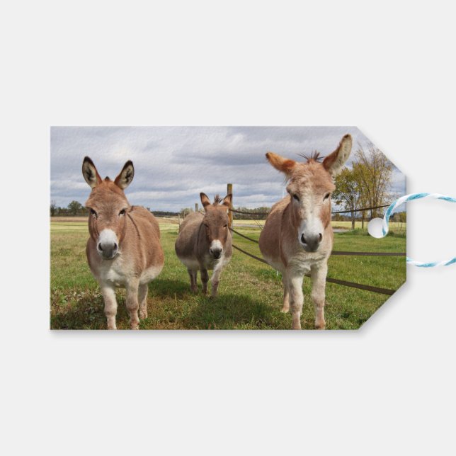 Three Donkey’s Gift Tags (Front (Horizontal))