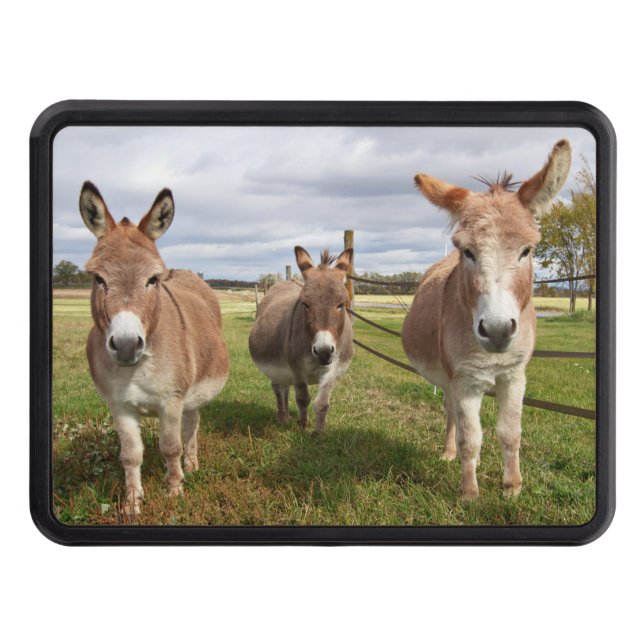 Three Donkey’s Hitch Cover (Front)