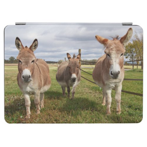 Three Donkeyâs iPad Air Cover