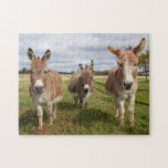 Three Donkey’s Jigsaw Puzzle<br><div class="desc">Three Donkey’s in their pasture on a sunny, fall day. This image was taken in VT (along Lake Champlain). It was taken by Debbie Quick of Debs Creative Images. If you like Debbie's work, feel free to check out her website at: www.debscreativeimages.com</div>