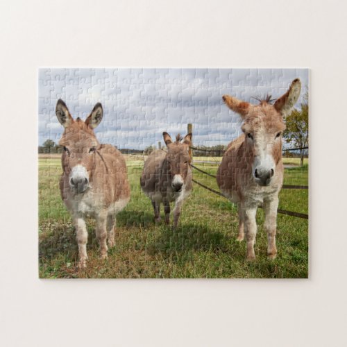 Three Donkeyâs Jigsaw Puzzle