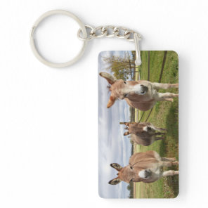 Three Donkey’s Keychain