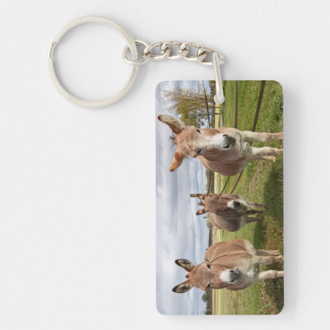 Three Donkey’s Keychain (Front)