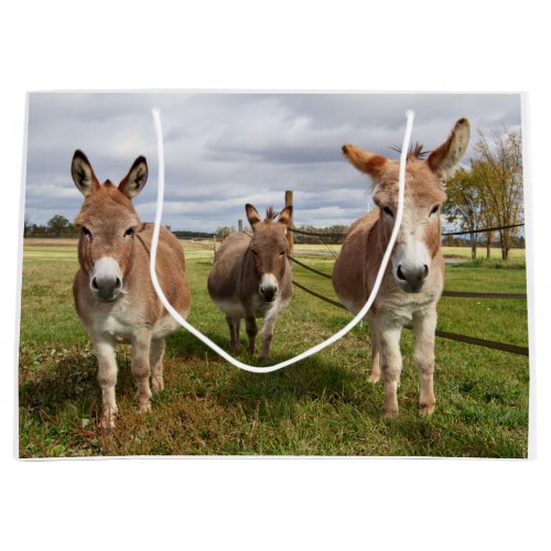 Three Donkeyâs Large Gift Bag