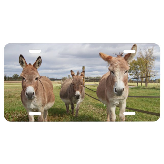 Three Donkey’s License Plate (Front)