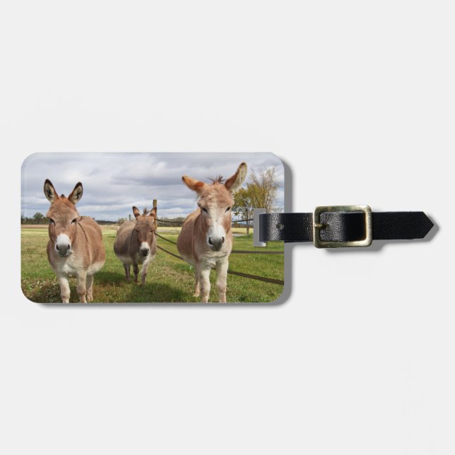 Three Donkey’s Luggage Tag (Front Horizontal)