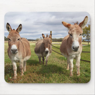 Three Donkey’s Mouse Pad