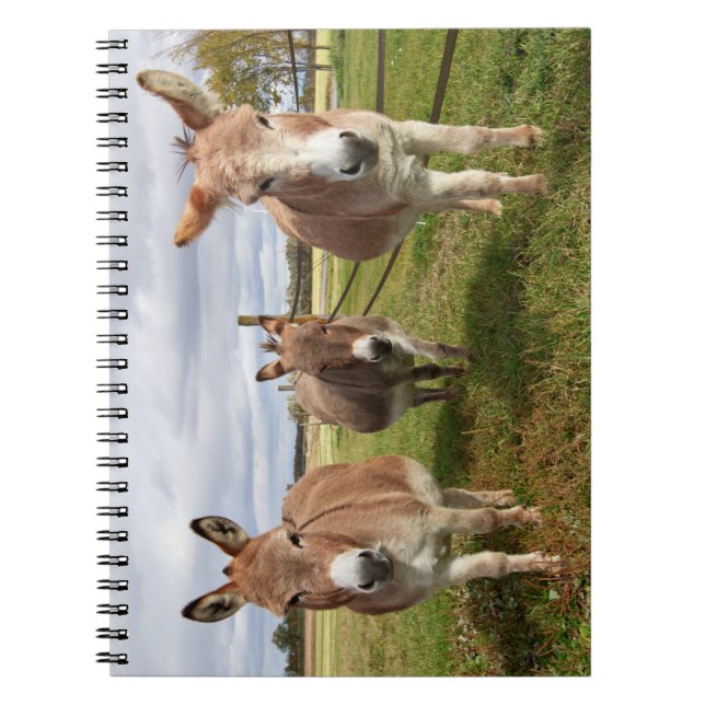 Three Donkey’s Notebook (Front)