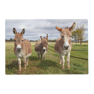 Three Donkey’s Placemat