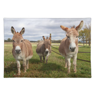 Three Donkey’s Placemat
