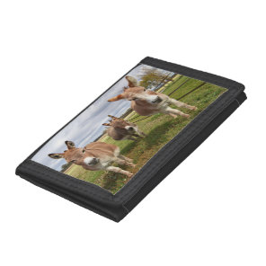 Three Donkey’s Trifold Wallet