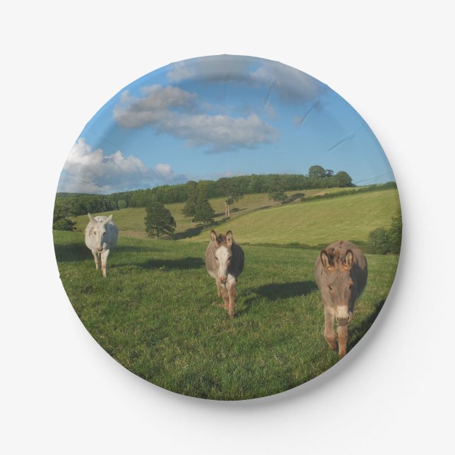 Three Donkeys in a Field Paper Plates (Front)