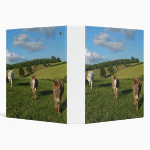 Three Donkeys in a Field Photograph 3 Ring Binder