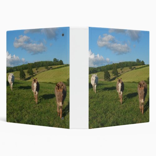 Three Donkeys in a Field Photograph 3 Ring Binder