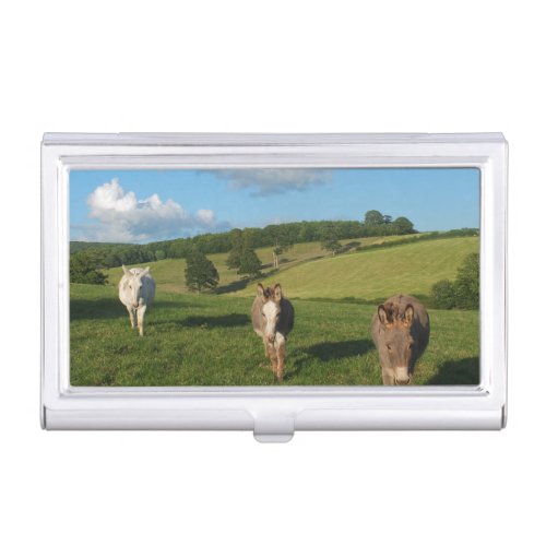 Three Donkeys in a Field Photograph Business Card Case