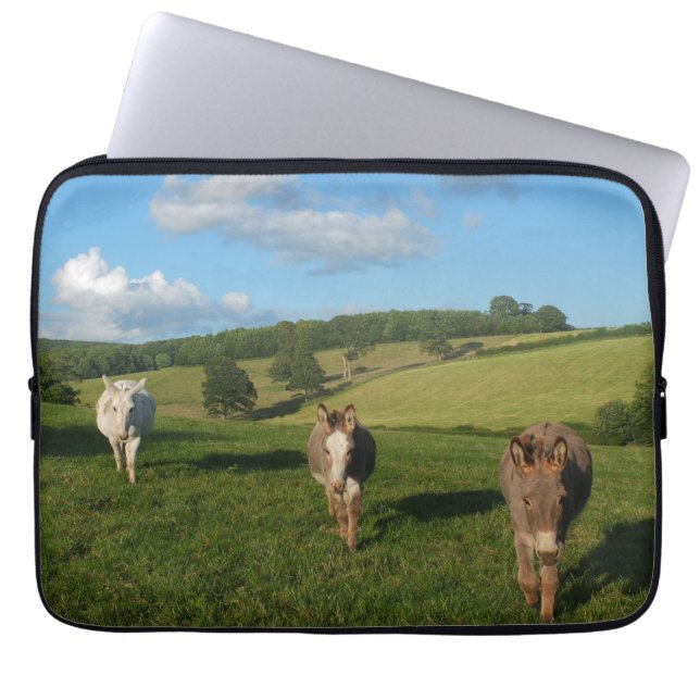 Three Donkeys in a Field Photograph Laptop Sleeve (Front)