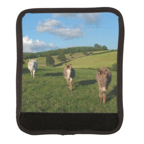 Three Donkeys in a Field Photograph Luggage Handle Wrap