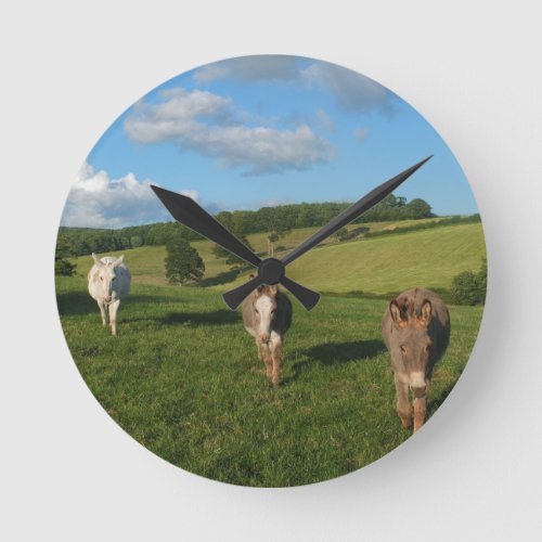 Three Donkeys in a Field Photograph Round Clock
