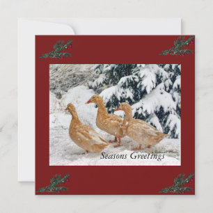 Three Duck Parade In Snow Flat Holiday Cards