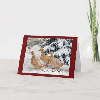 Three Duck Parade In Snow Holiday Greeting Card