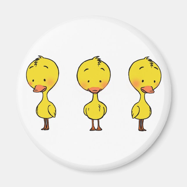 Three ducks magnet (Front)