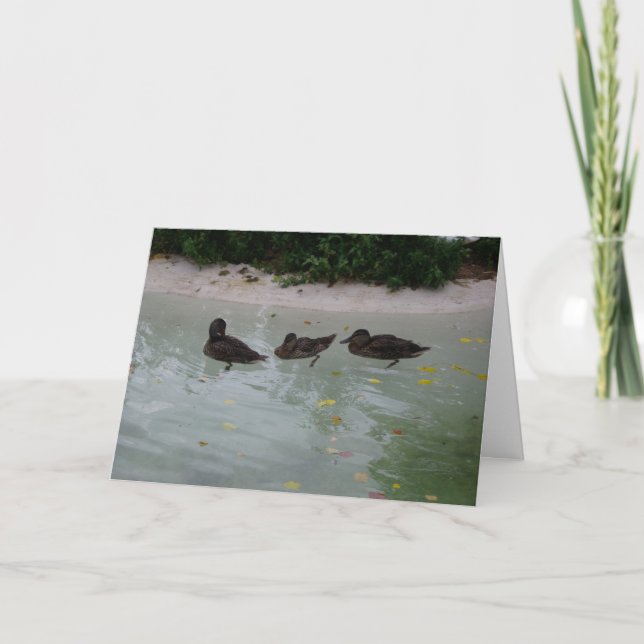 "Three Ducks" Thank You Card (Front)