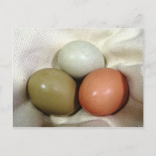 Three eggs... postcard