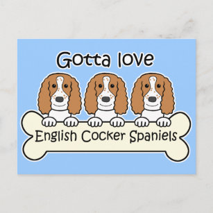 Three English Cocker Spaniels Postcard
