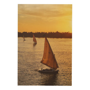 Three falukas with sightseers on Nile River at Wood Wall Art