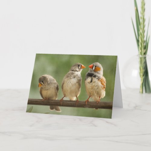 Three Finches on a Twig Card